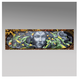 Medusa